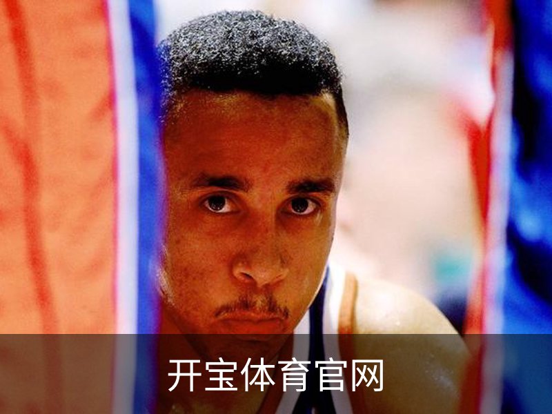 开宝体育官网概况